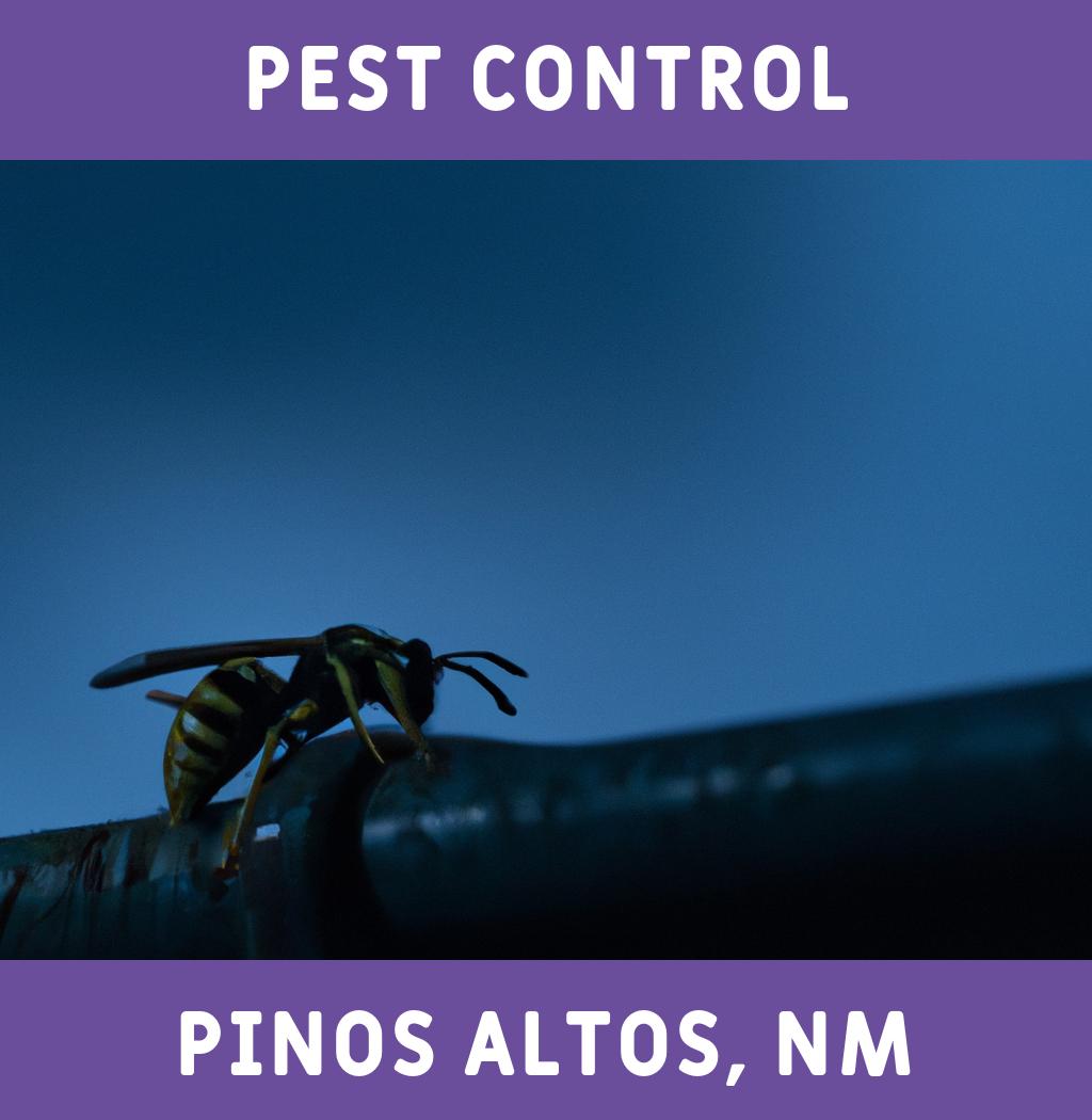 pest control in Pinos Altos New Mexico