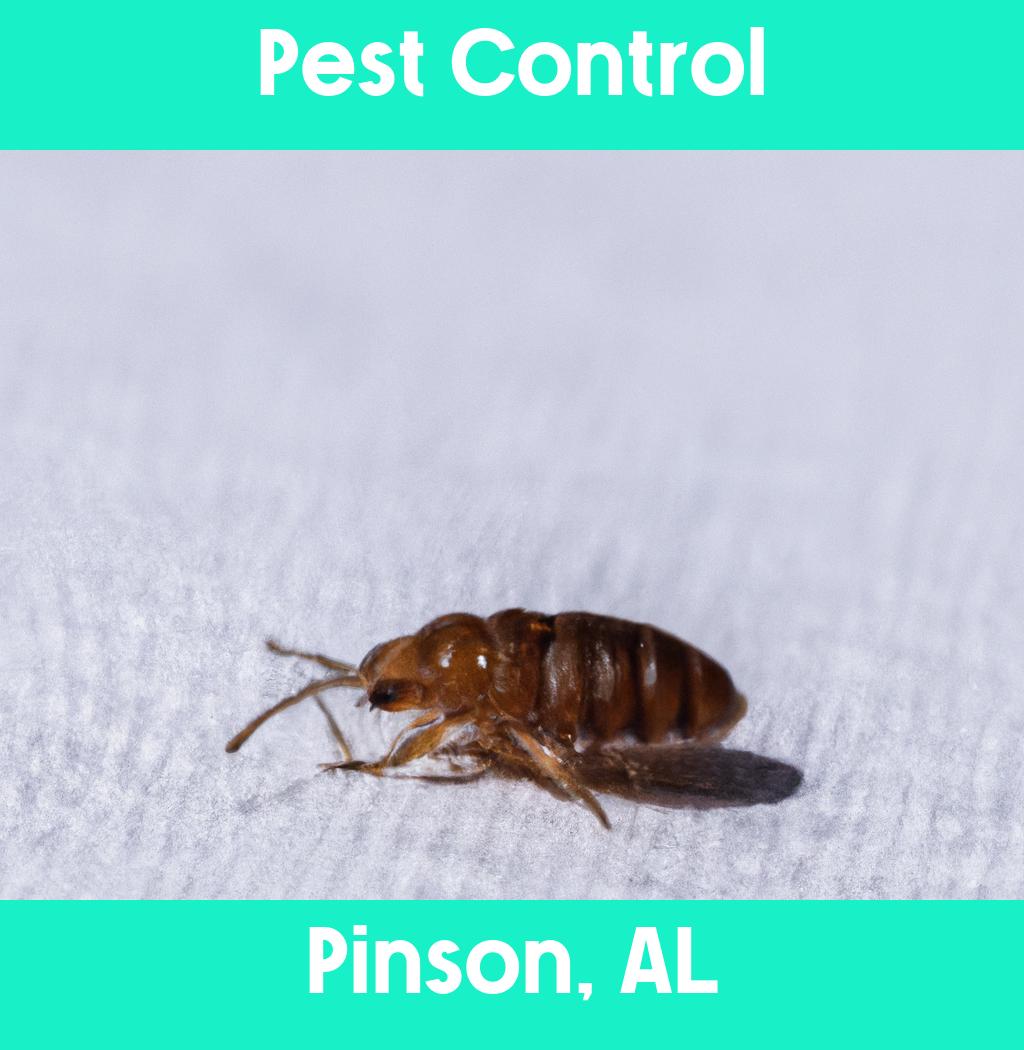 pest control in Pinson Alabama