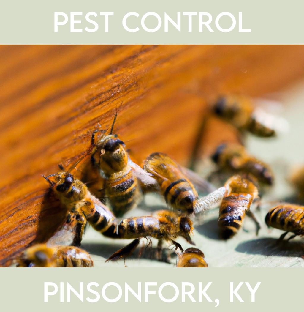 pest control in Pinsonfork Kentucky