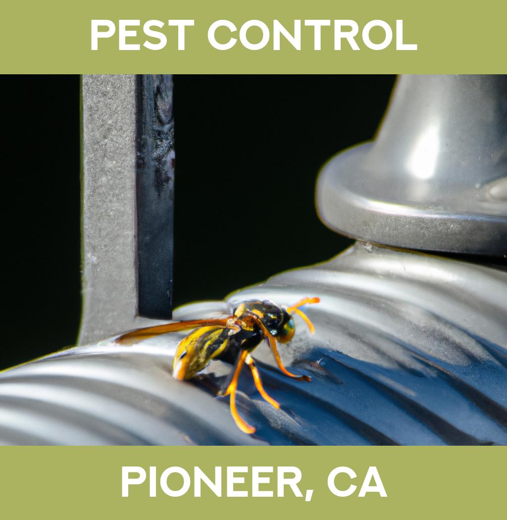 pest control in Pioneer California