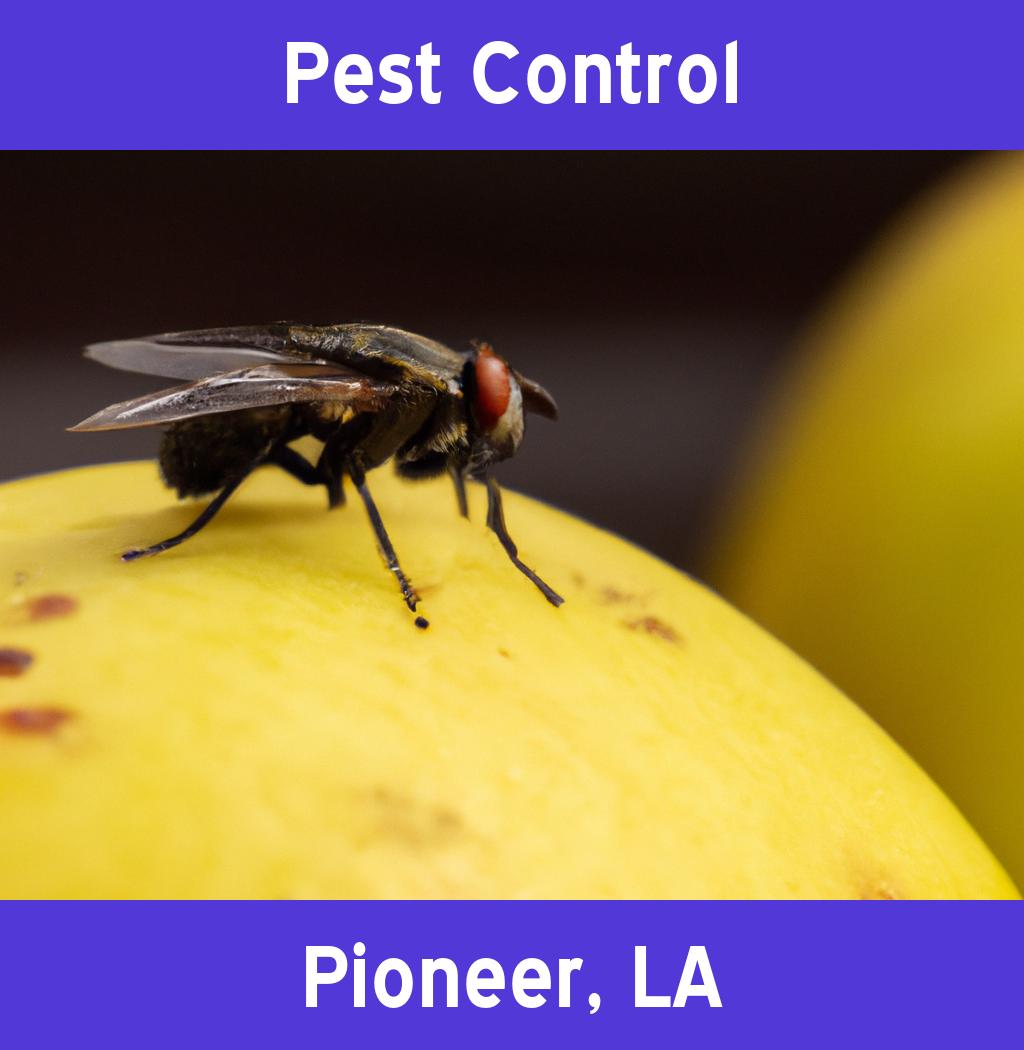pest control in Pioneer Louisiana