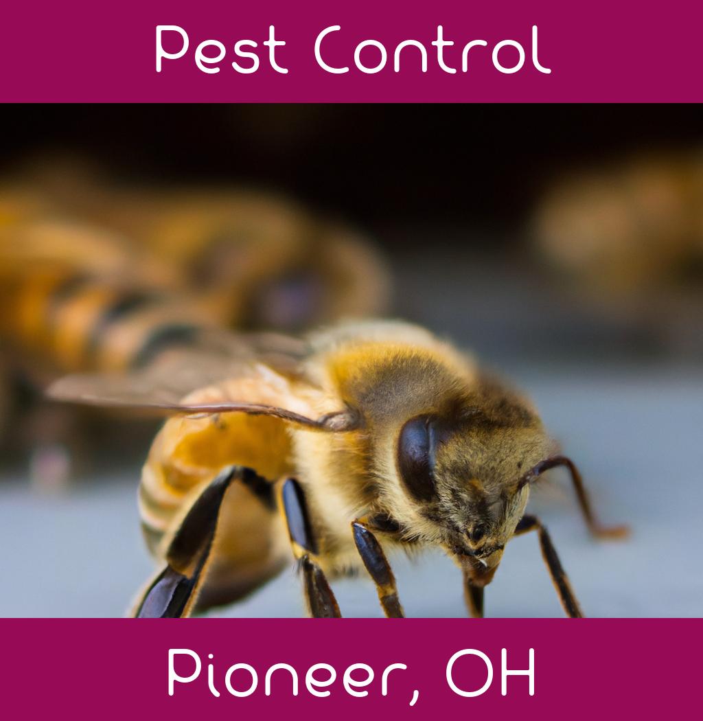 pest control in Pioneer Ohio