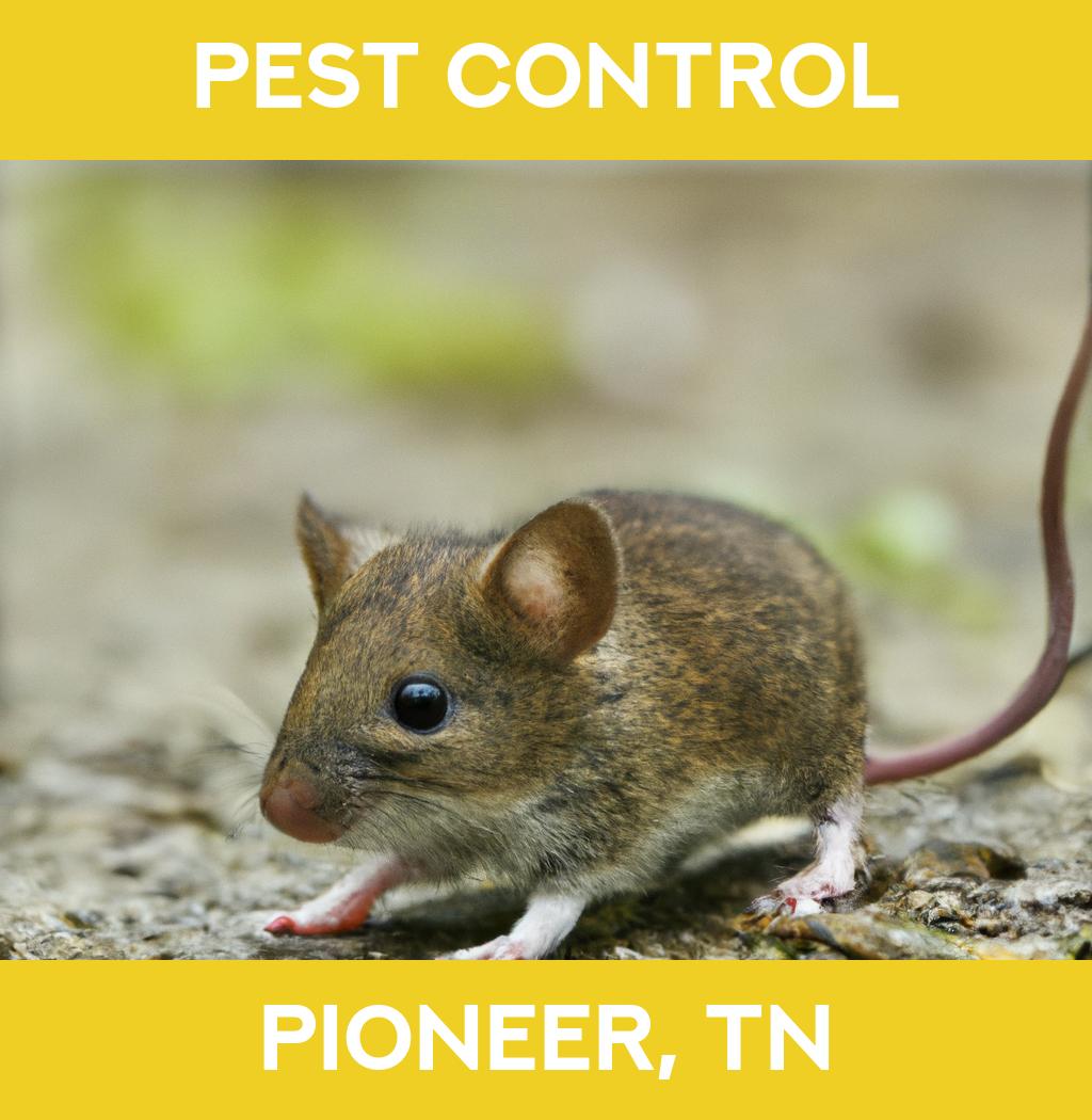 pest control in Pioneer Tennessee