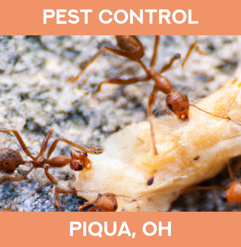 pest control in Piqua Ohio