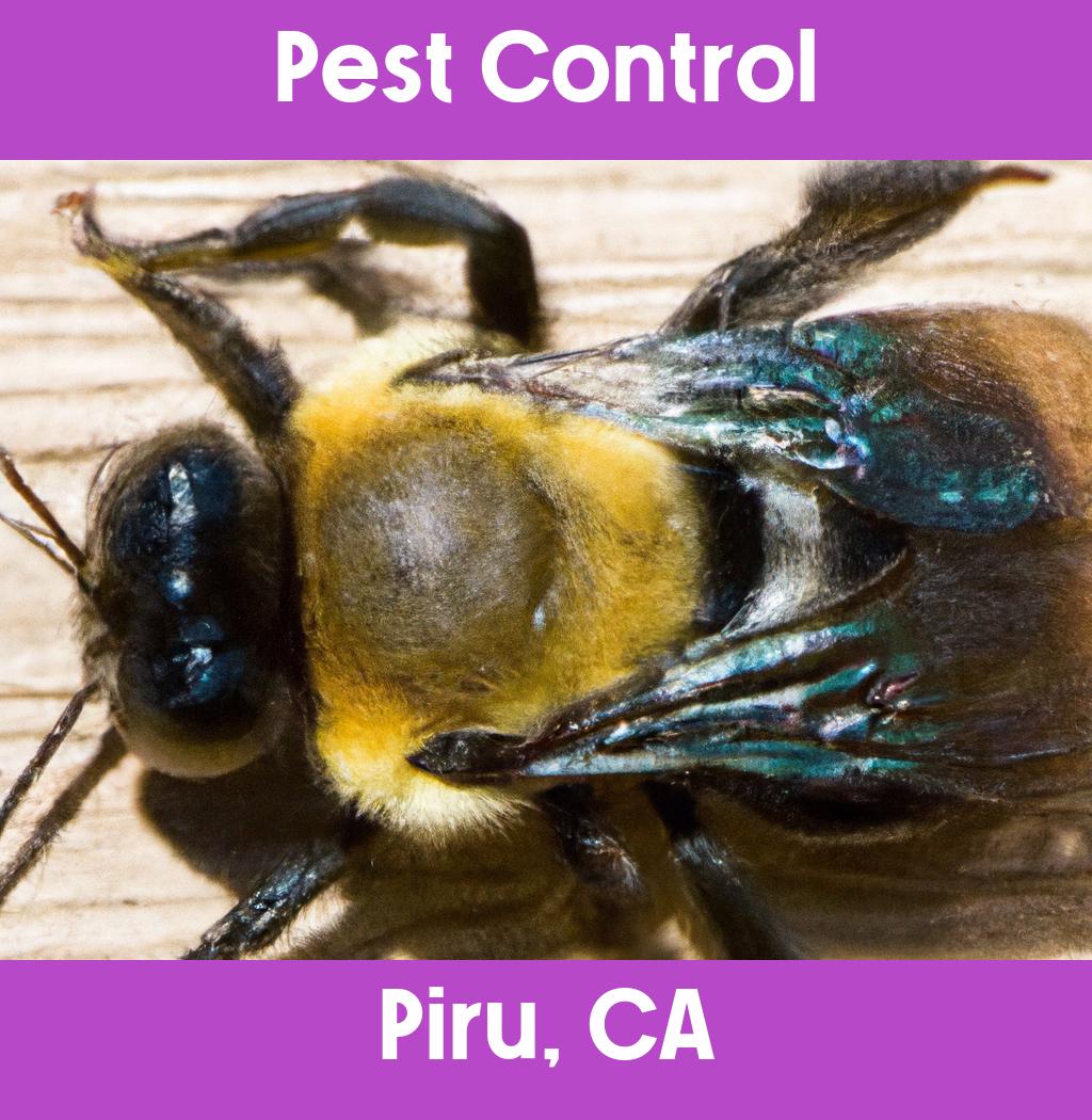 pest control in Piru California
