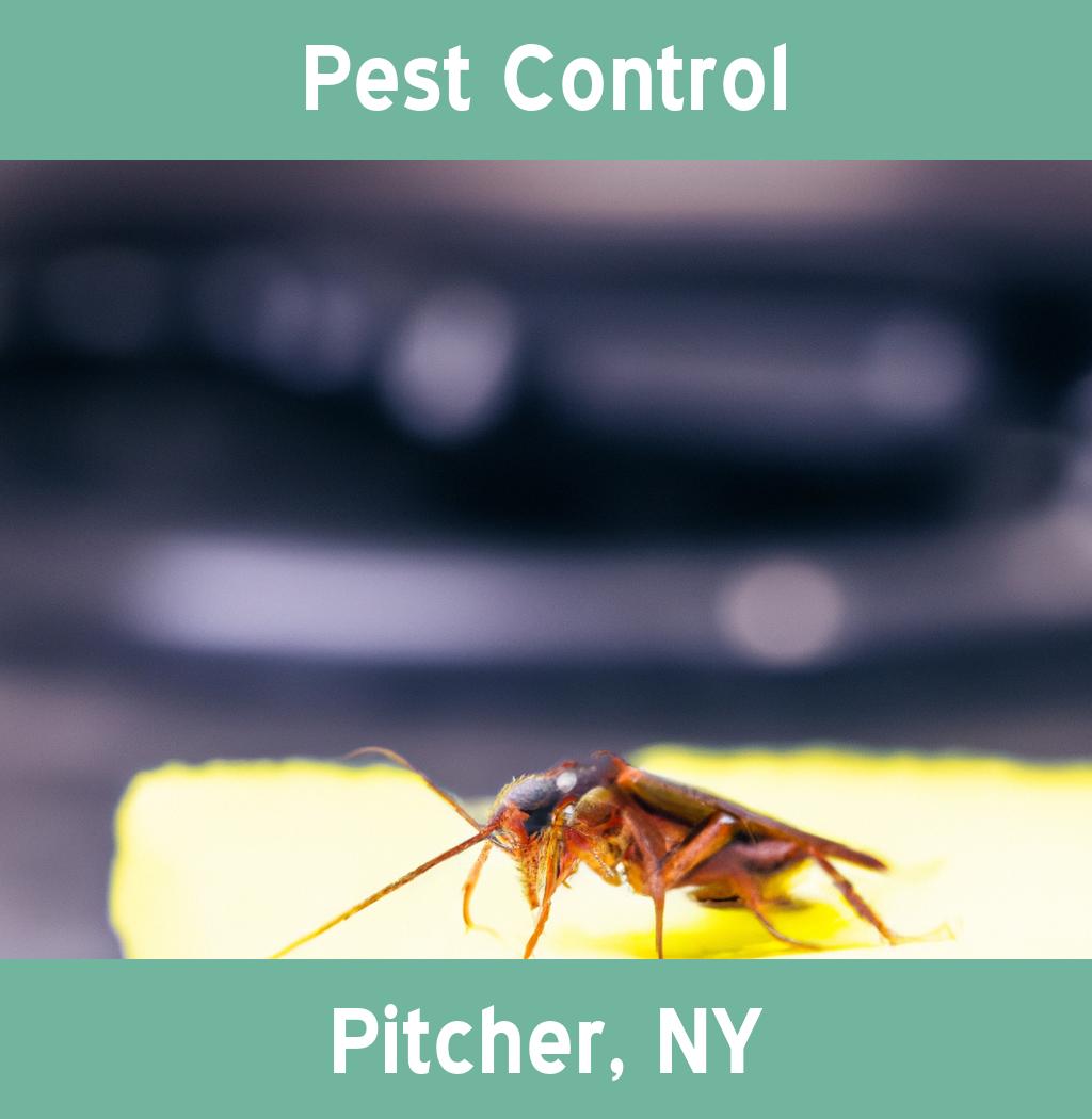 pest control in Pitcher New York