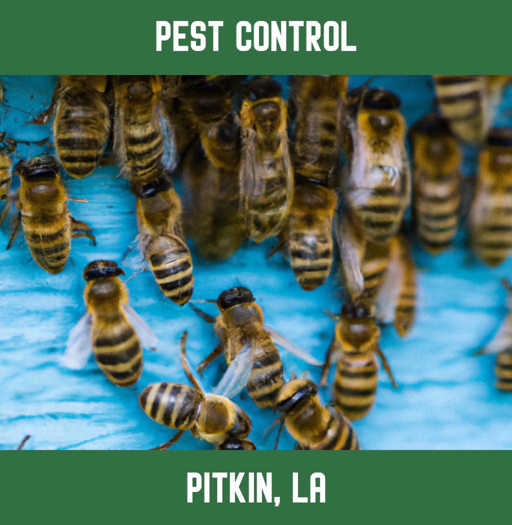 pest control in Pitkin Louisiana