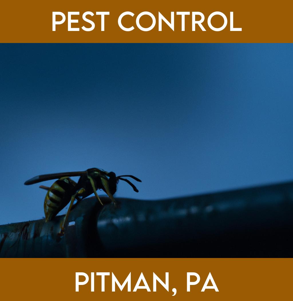 pest control in Pitman Pennsylvania