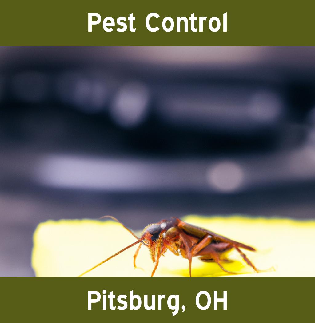pest control in Pitsburg Ohio
