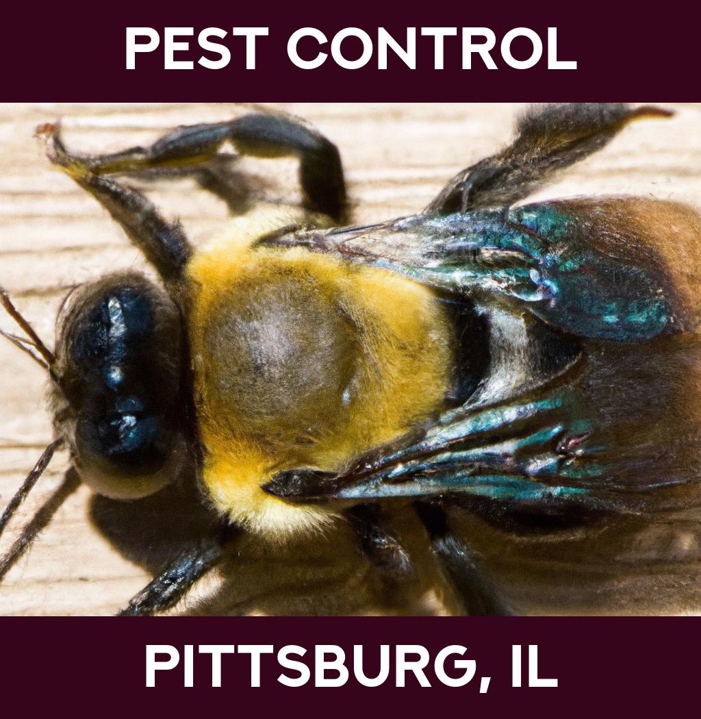 pest control in Pittsburg Illinois