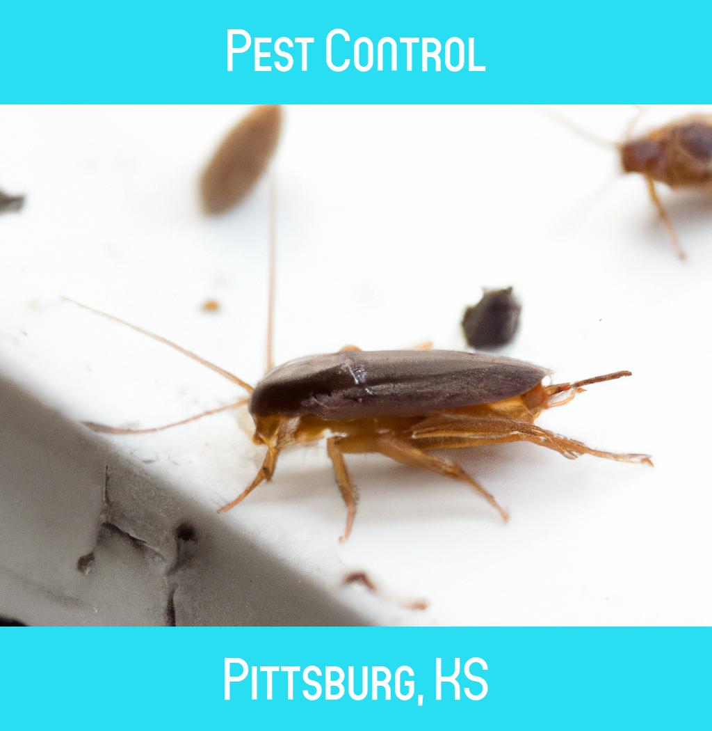 pest control in Pittsburg Kansas