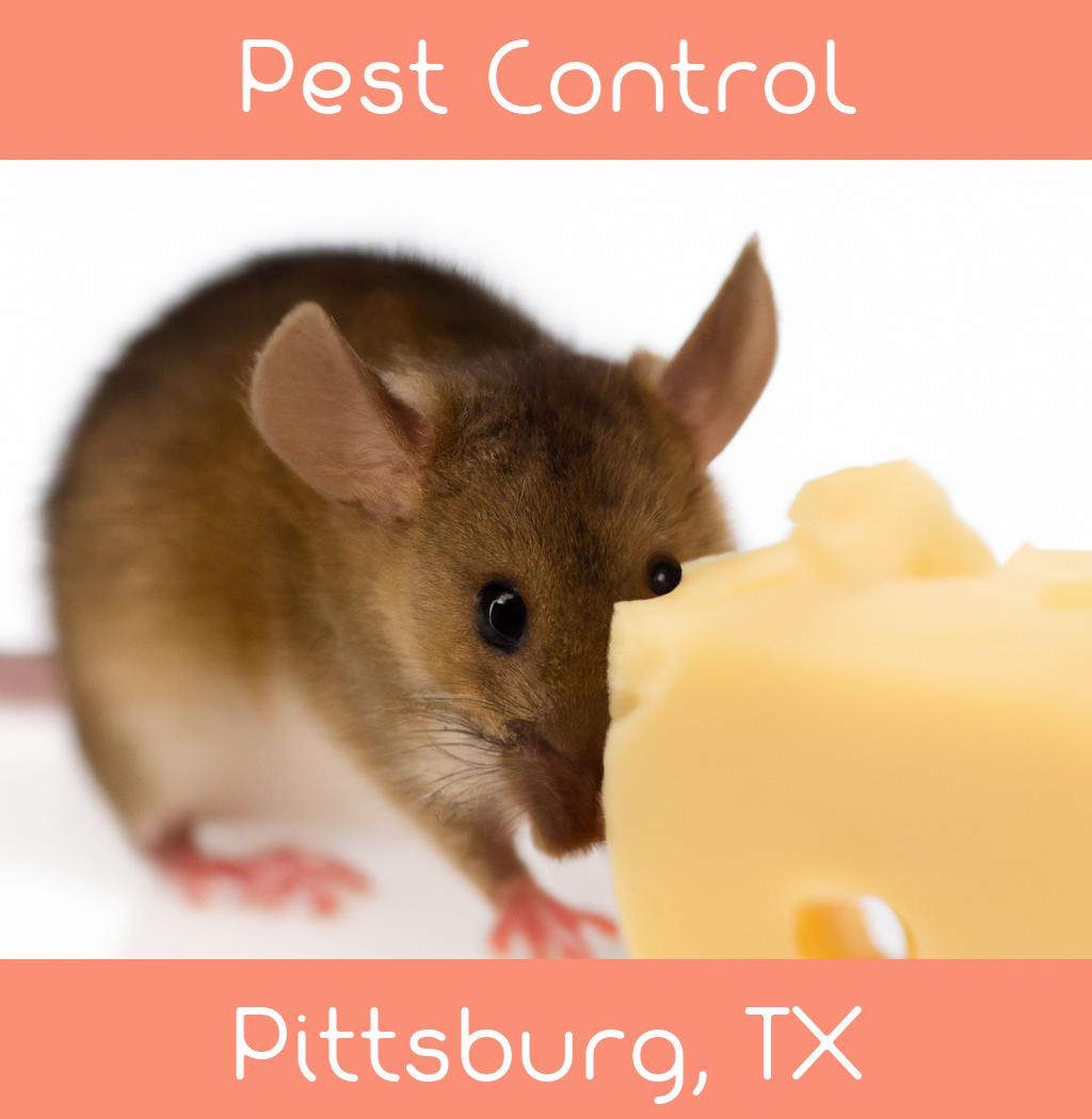 pest control in Pittsburg Texas