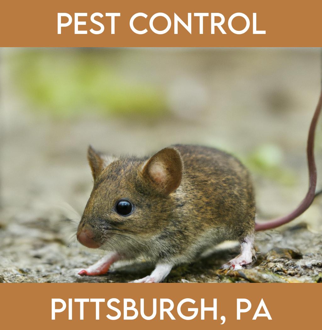 pest control in Pittsburgh Pennsylvania
