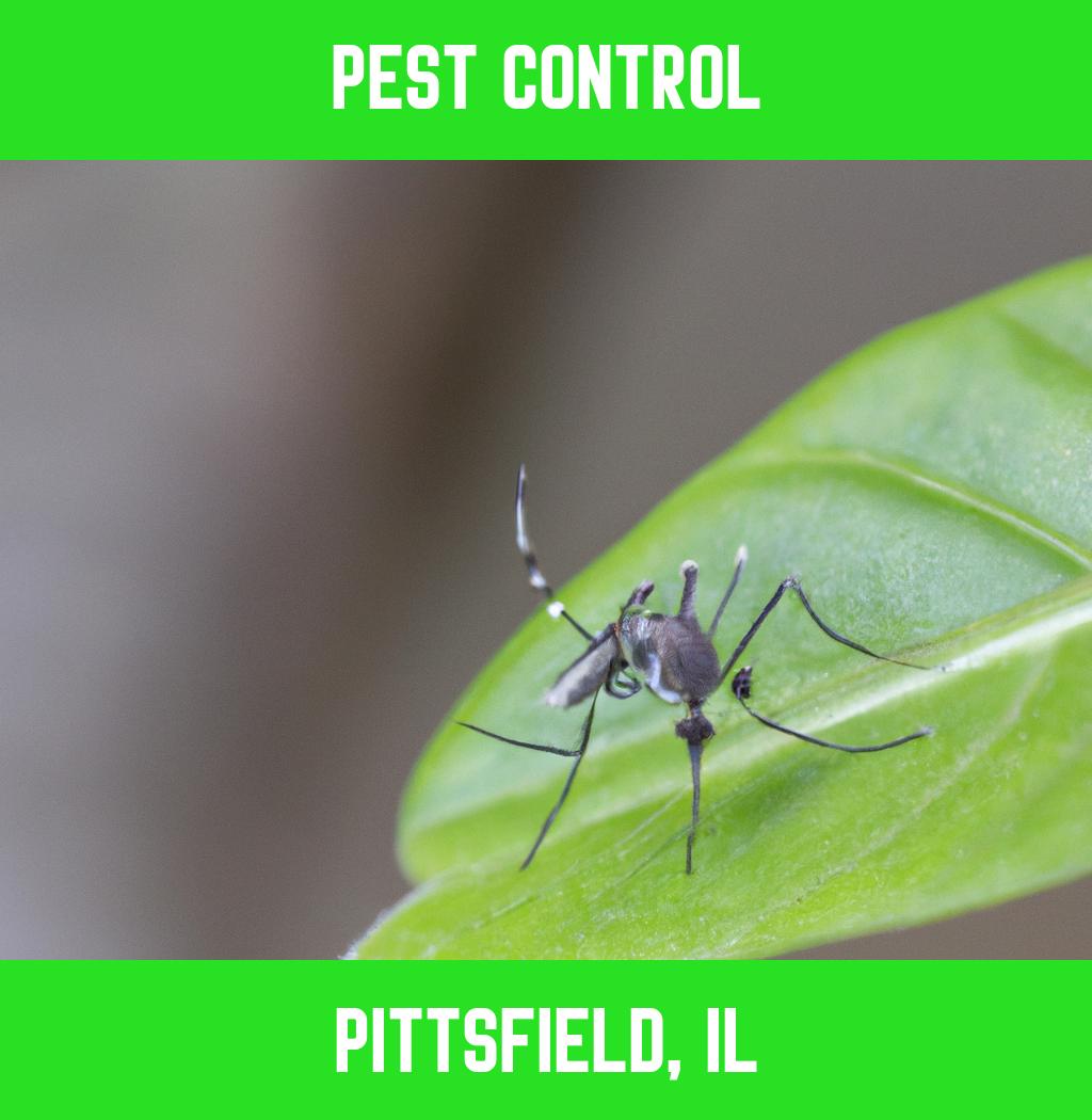 pest control in Pittsfield Illinois
