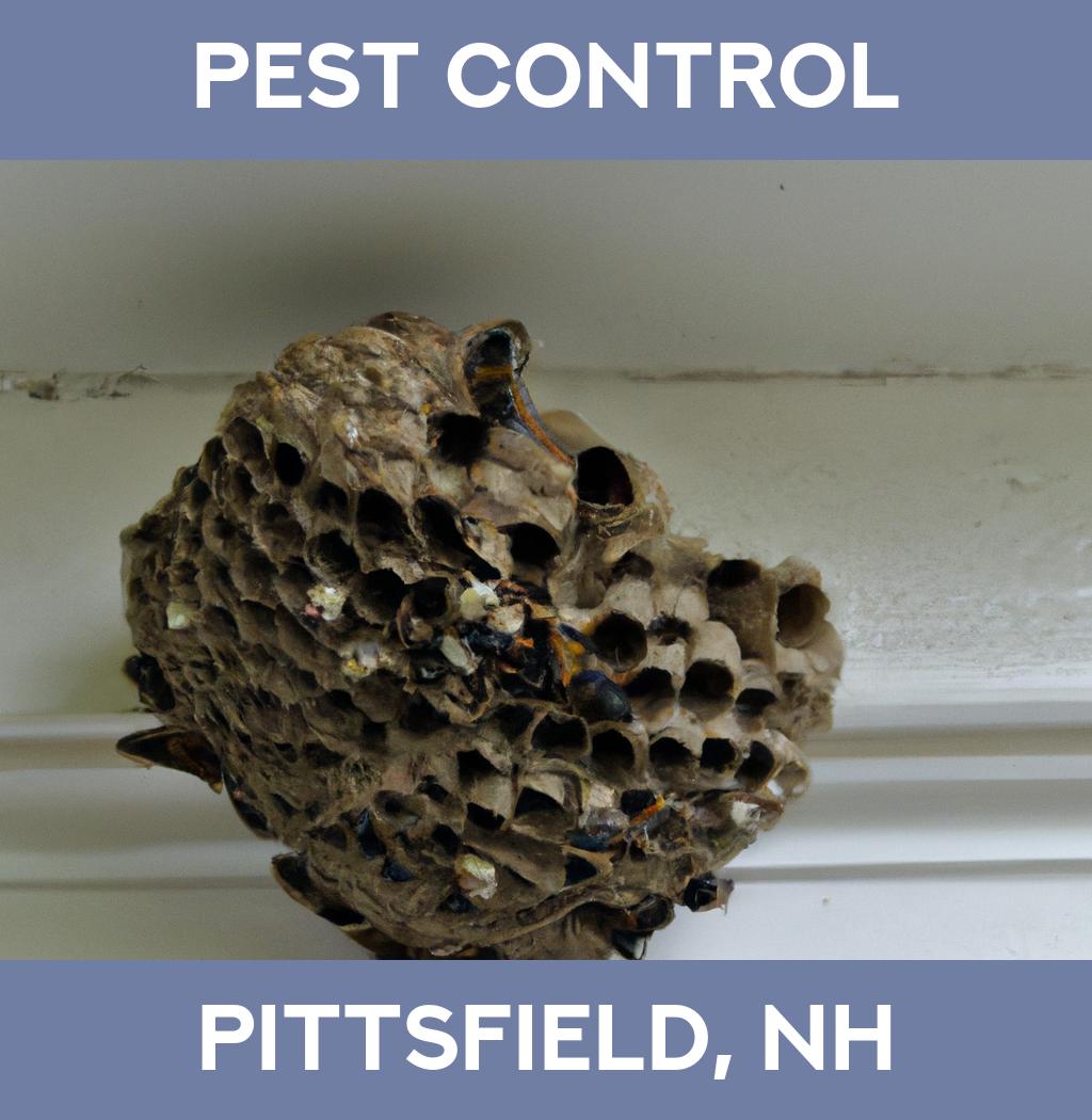 pest control in Pittsfield New Hampshire