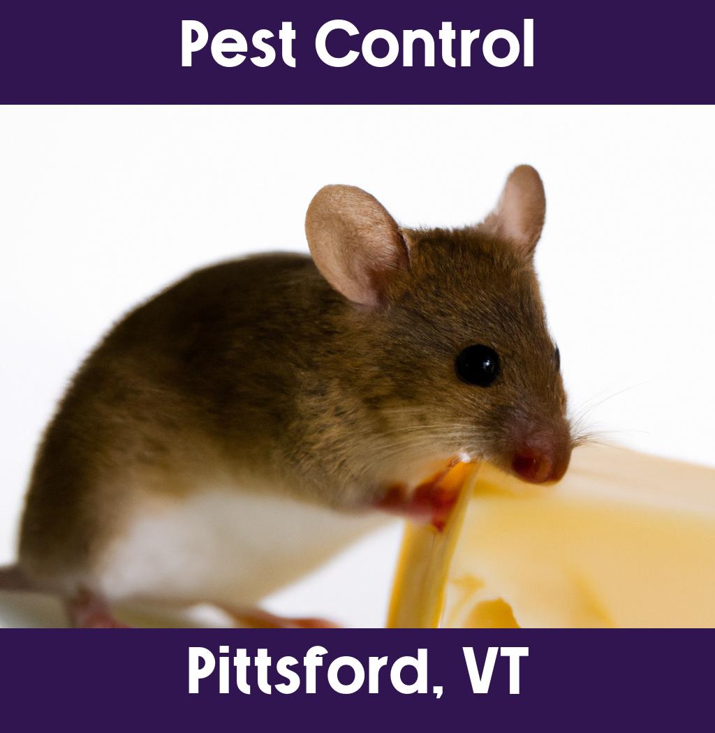 pest control in Pittsford Vermont