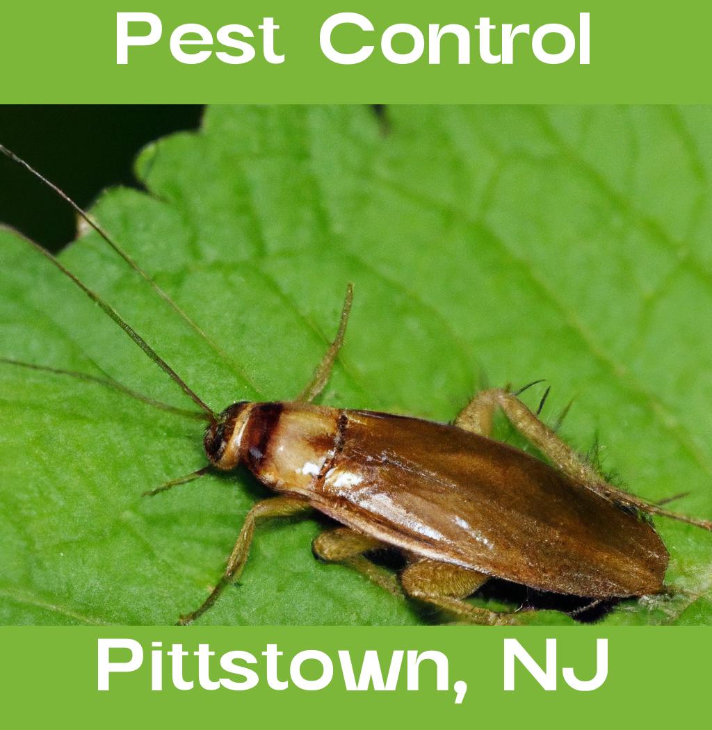 pest control in Pittstown New Jersey