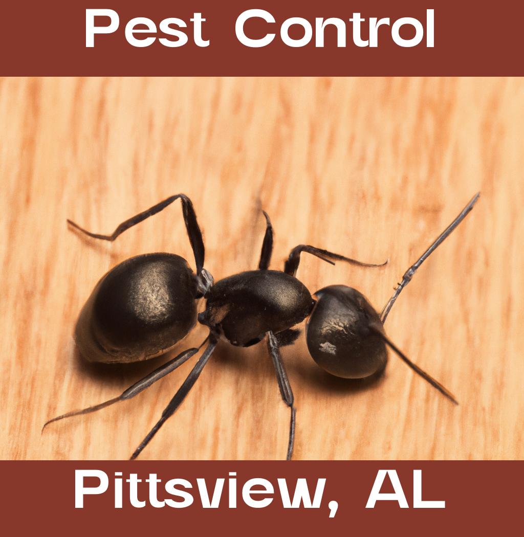 pest control in Pittsview Alabama