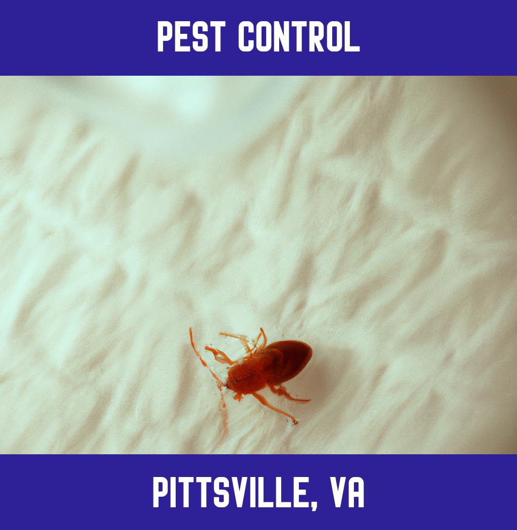 pest control in Pittsville Virginia