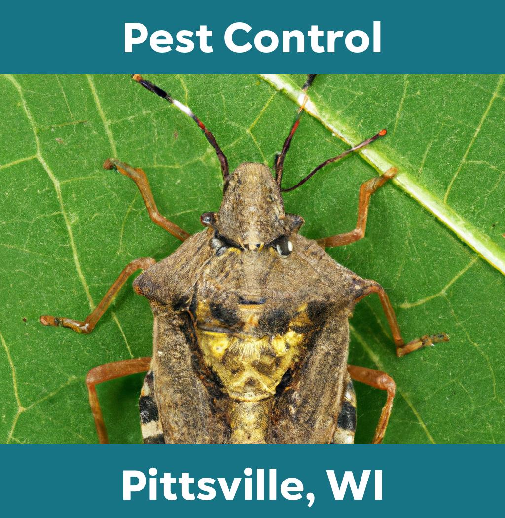 pest control in Pittsville Wisconsin