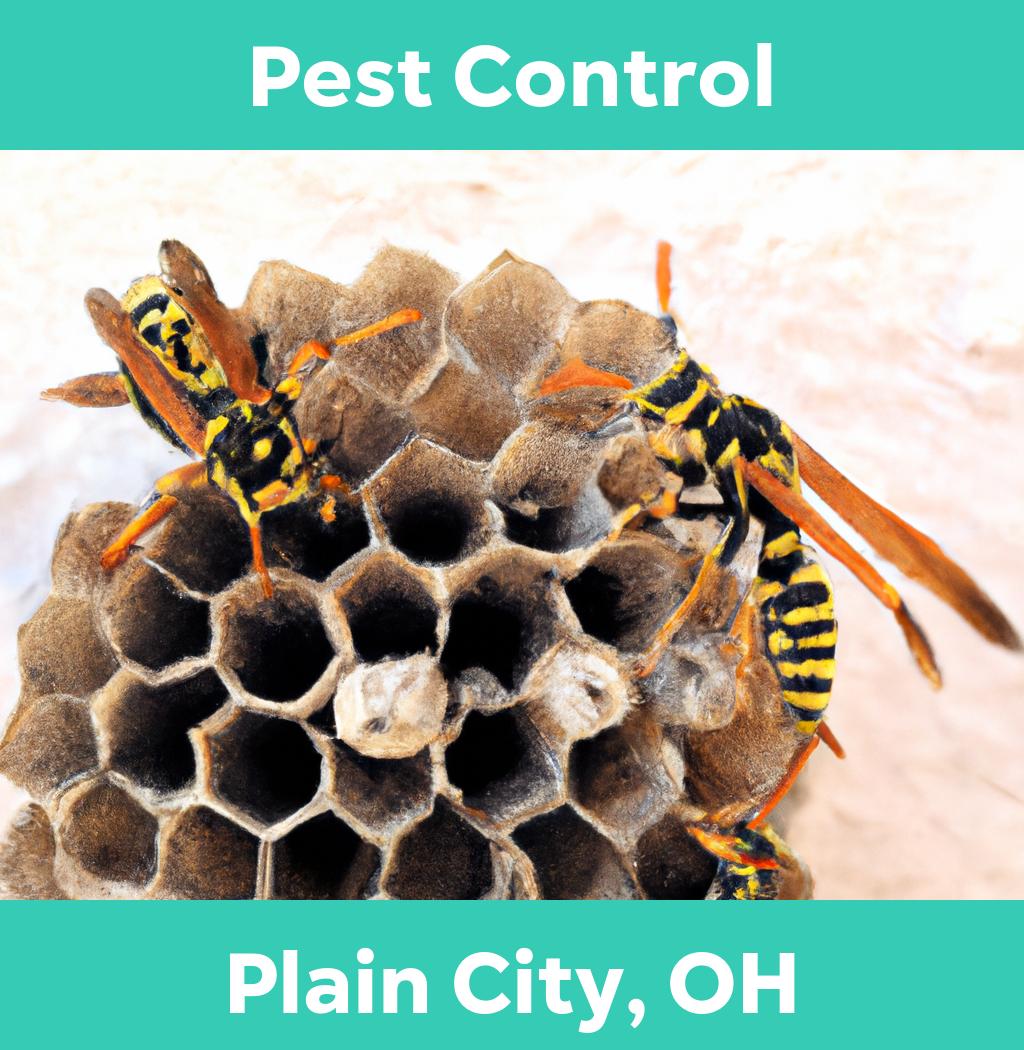 pest control in Plain City Ohio