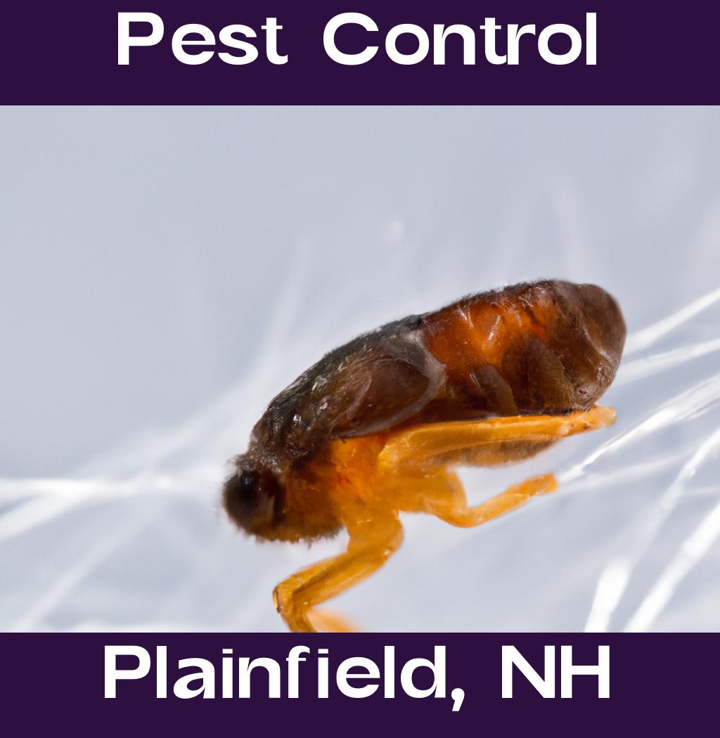 pest control in Plainfield New Hampshire