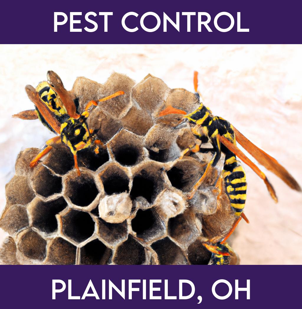 pest control in Plainfield Ohio