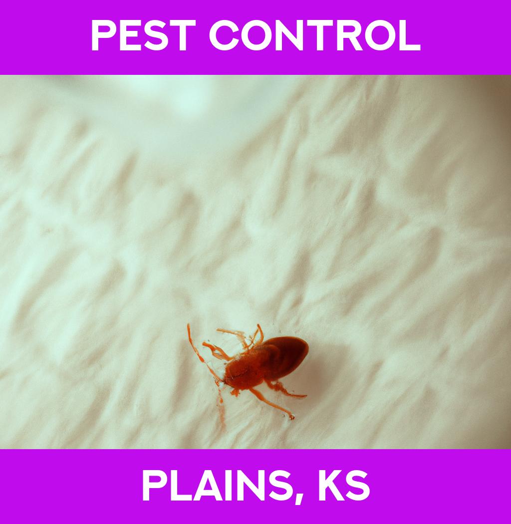 pest control in Plains Kansas