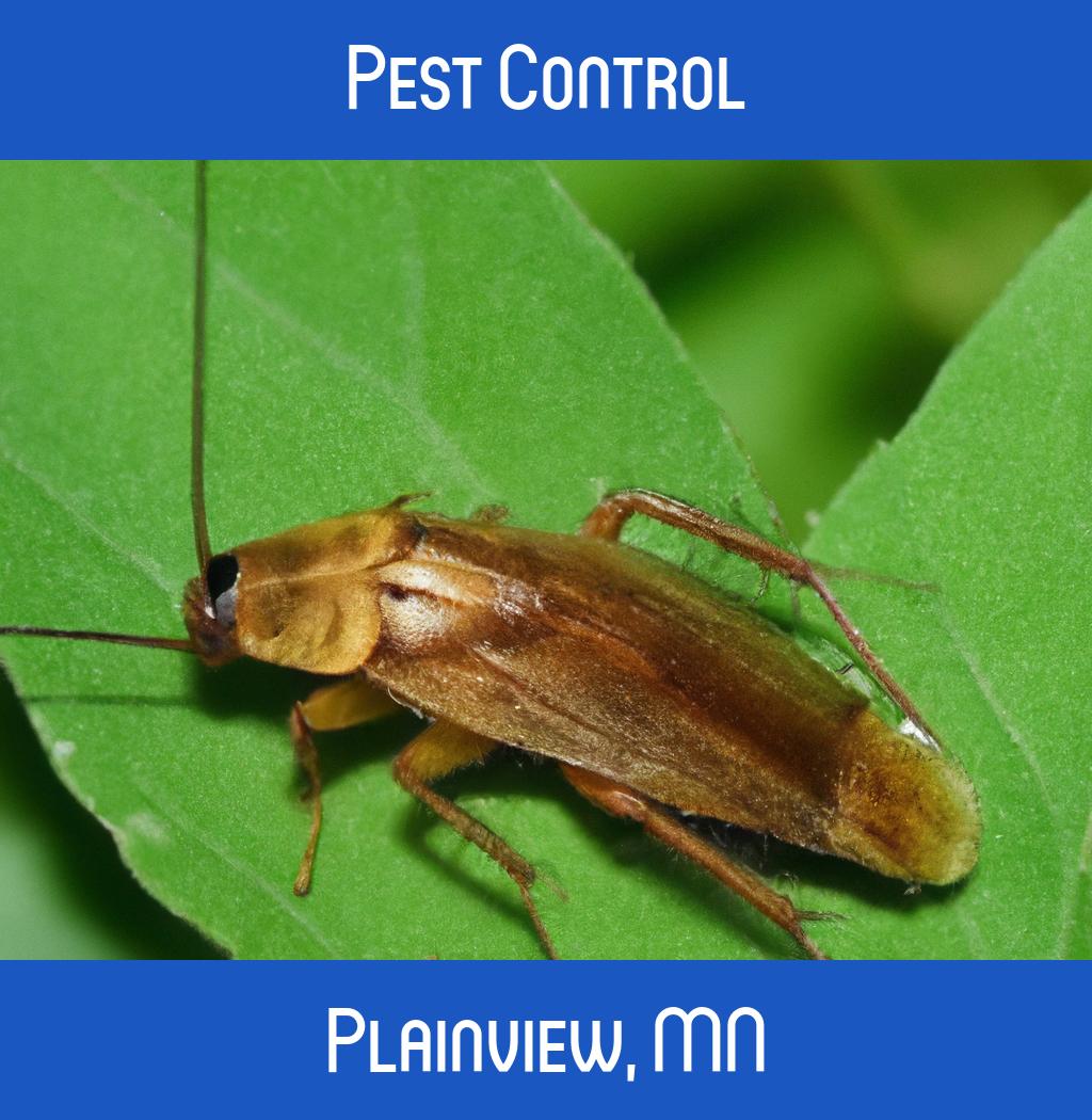 pest control in Plainview Minnesota