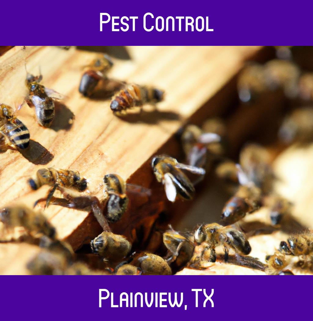 pest control in Plainview Texas