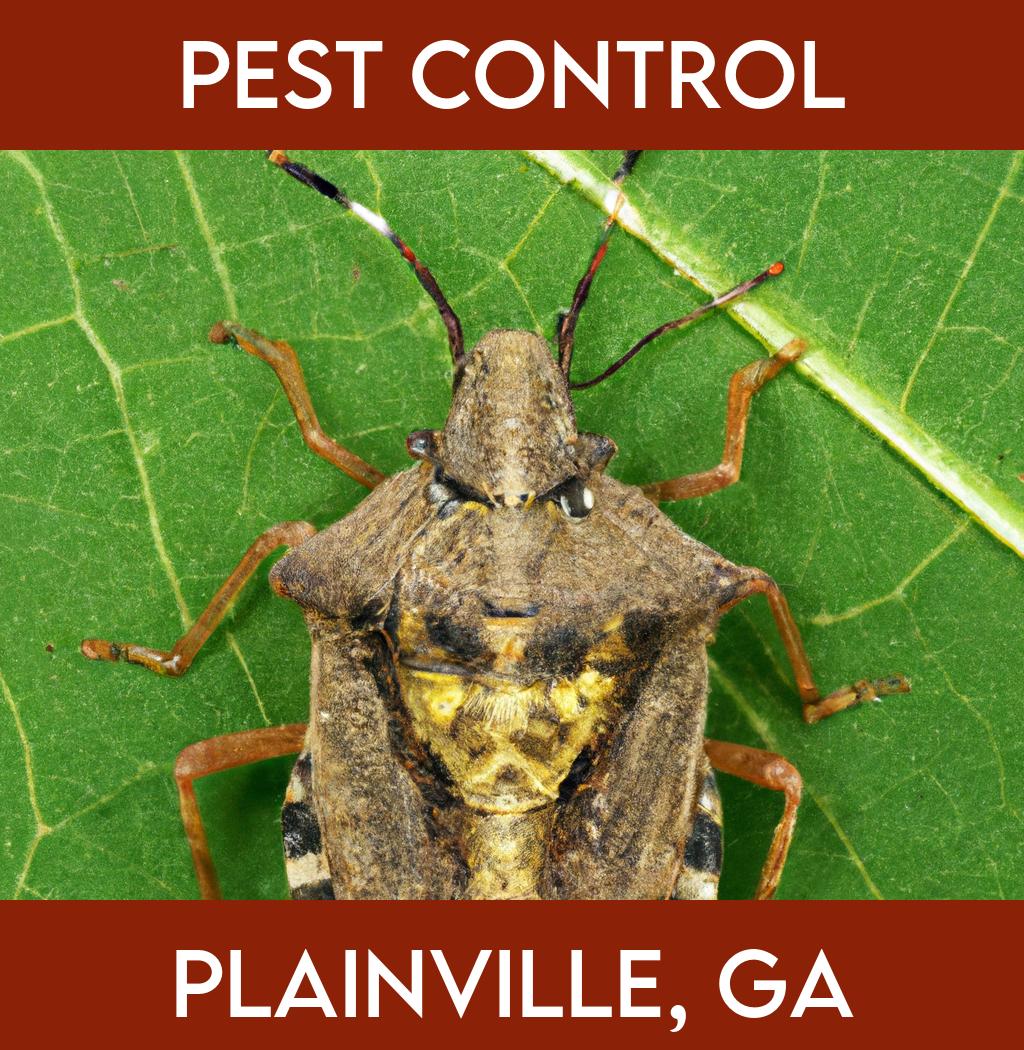 pest control in Plainville Georgia