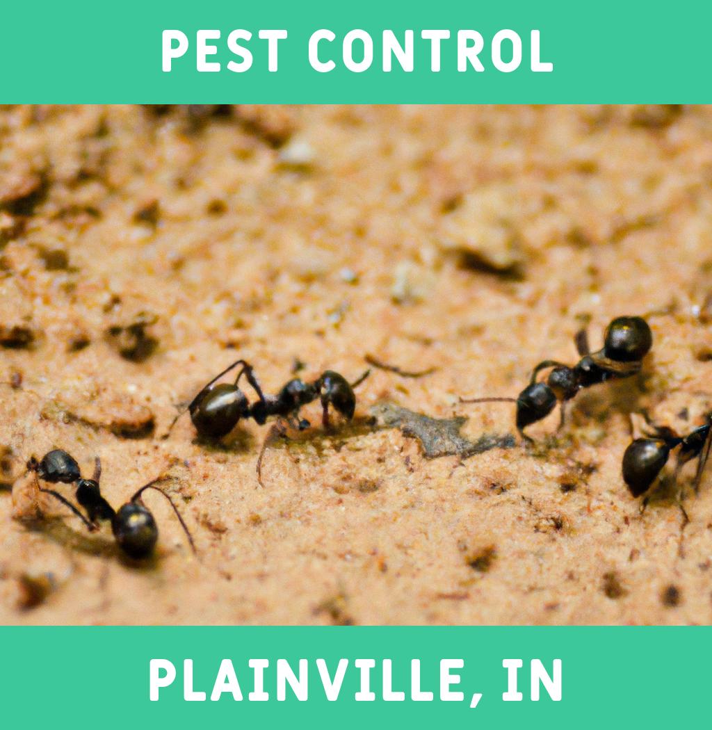 pest control in Plainville Indiana