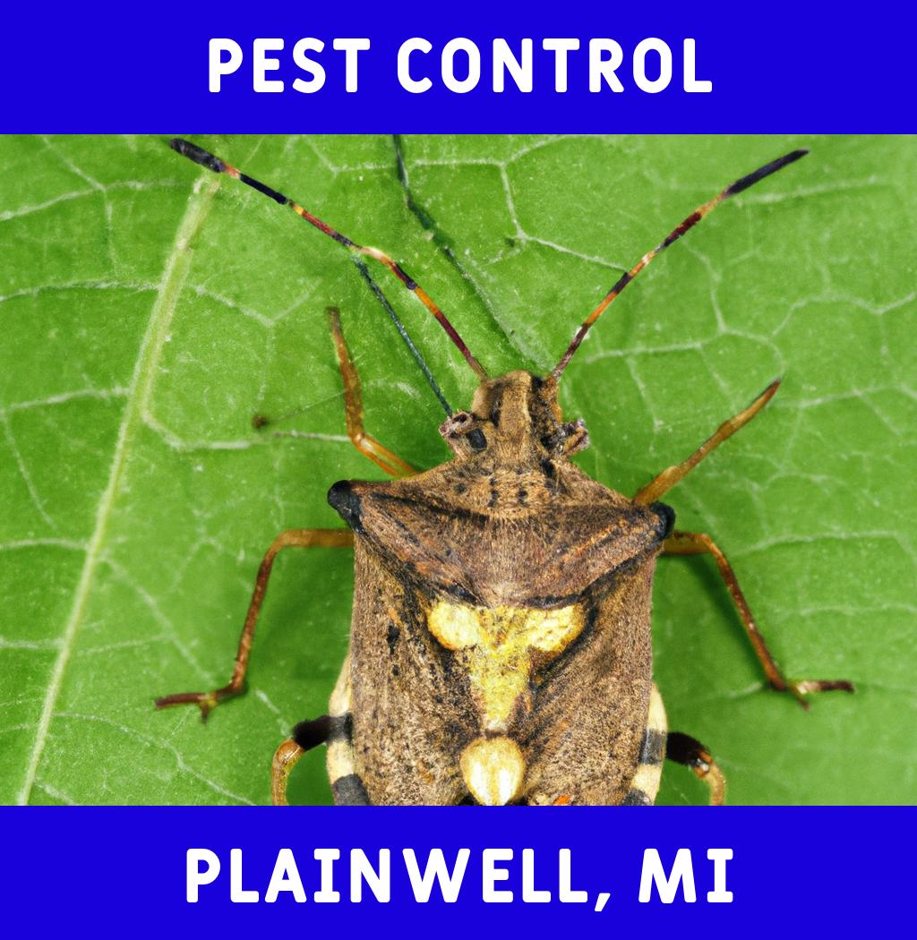 pest control in Plainwell Michigan