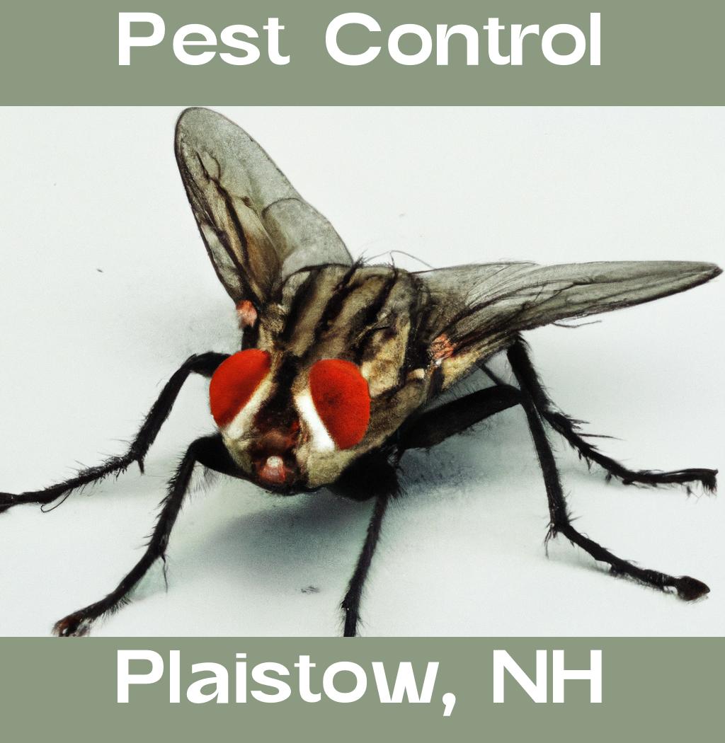 pest control in Plaistow New Hampshire