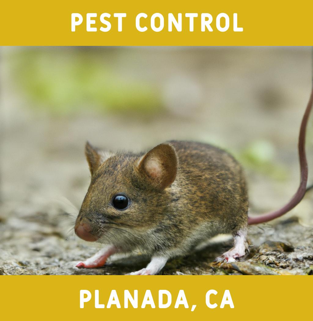 pest control in Planada California