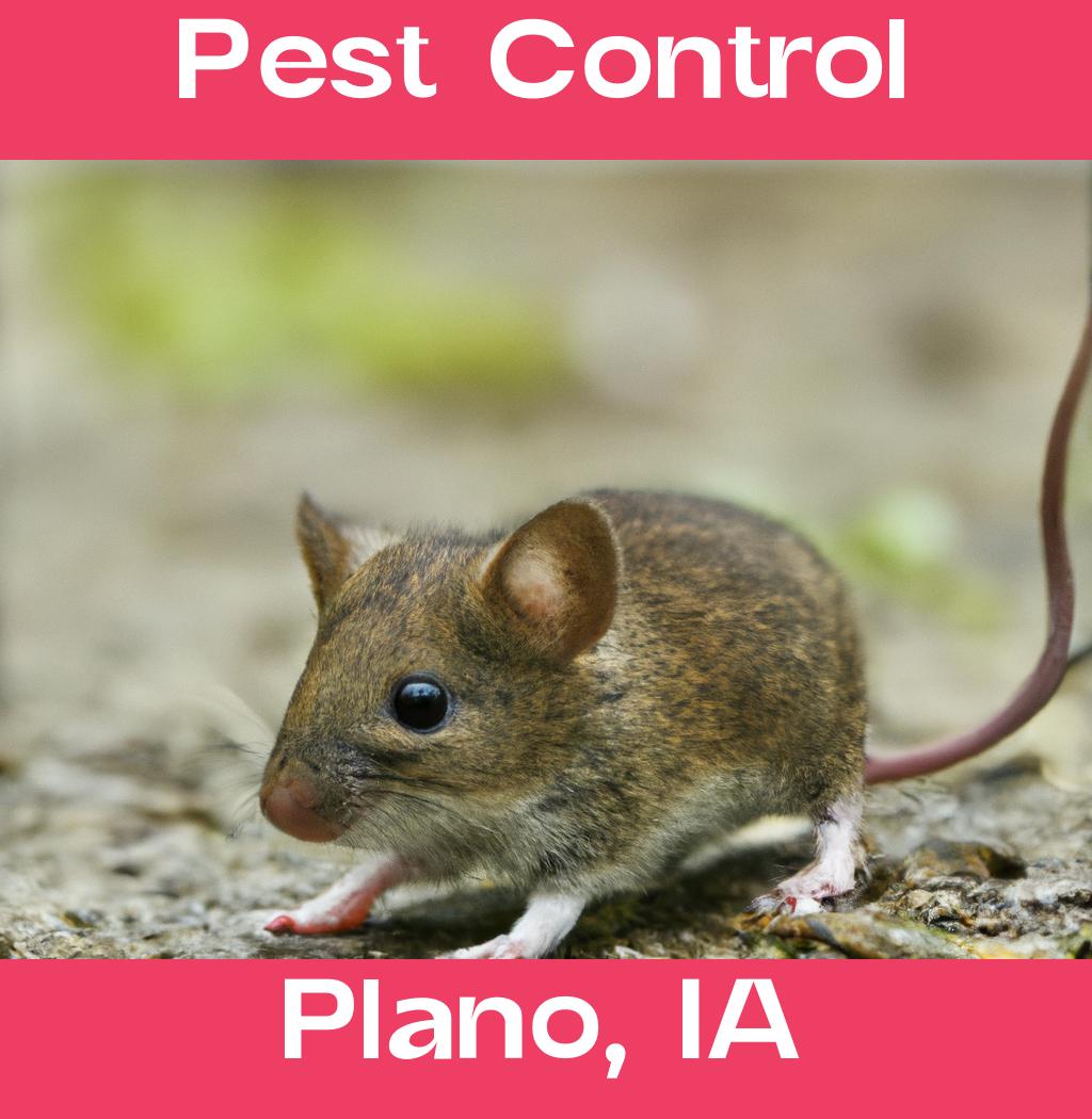 pest control in Plano Iowa