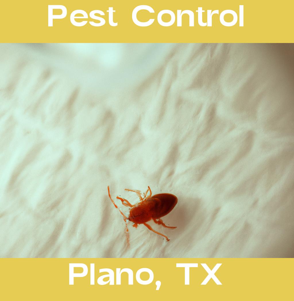 pest control in Plano Texas