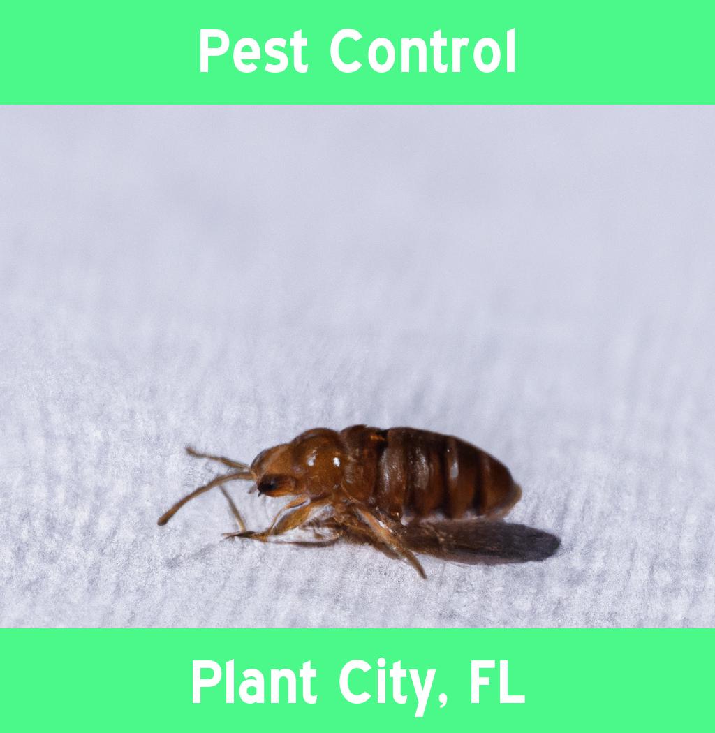 pest control in Plant City Florida