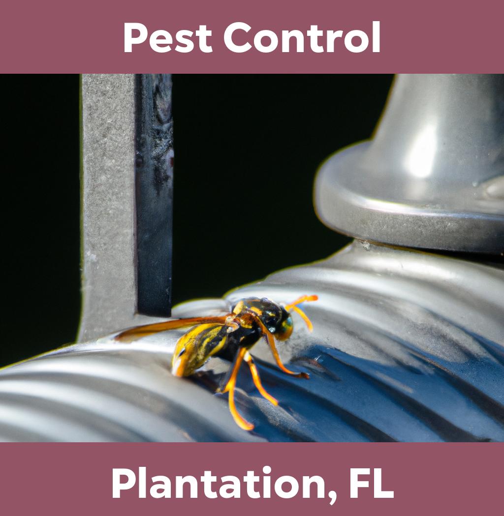 pest control in Plantation Florida