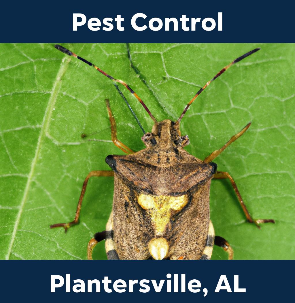 pest control in Plantersville Alabama