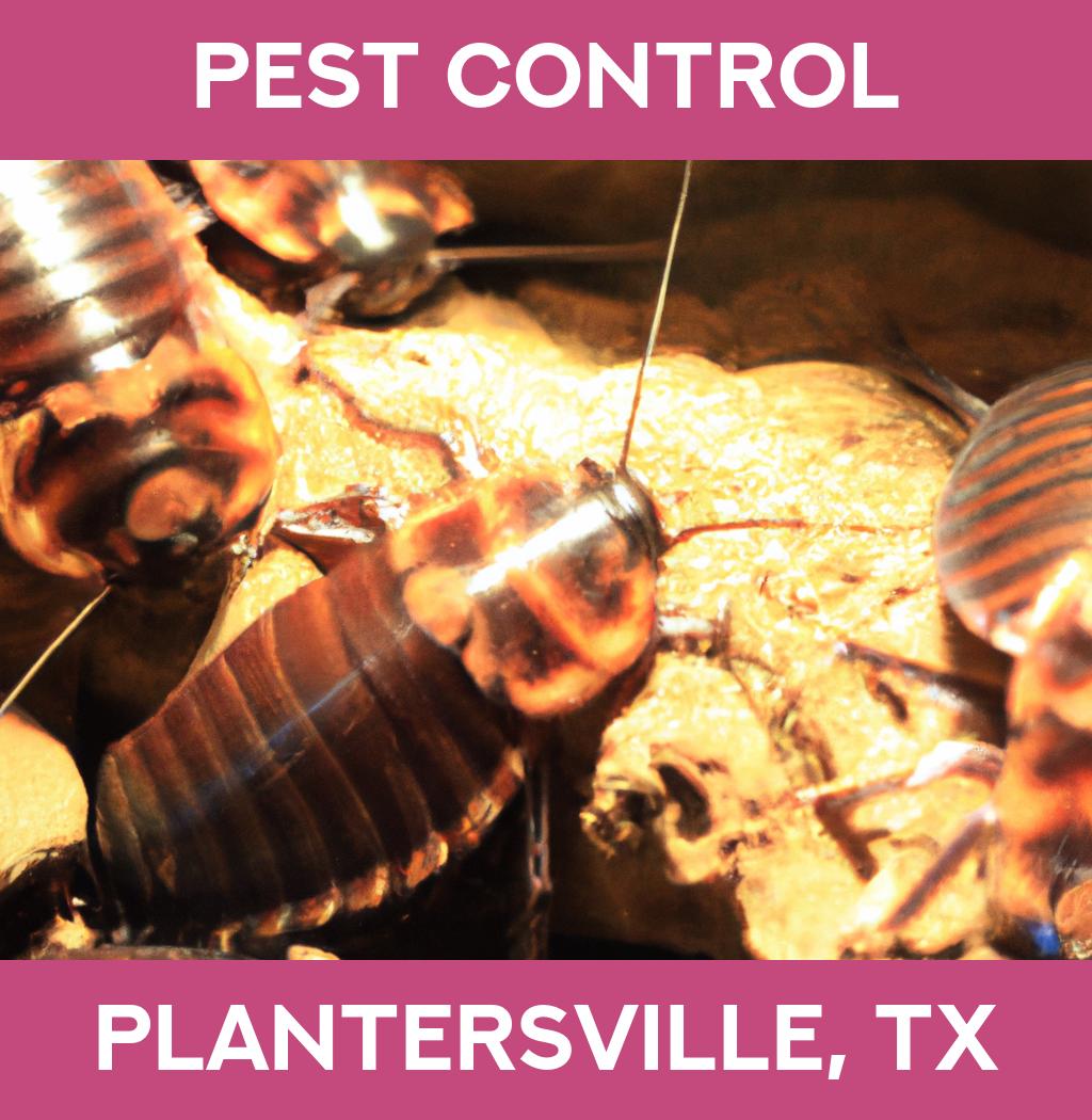 pest control in Plantersville Texas