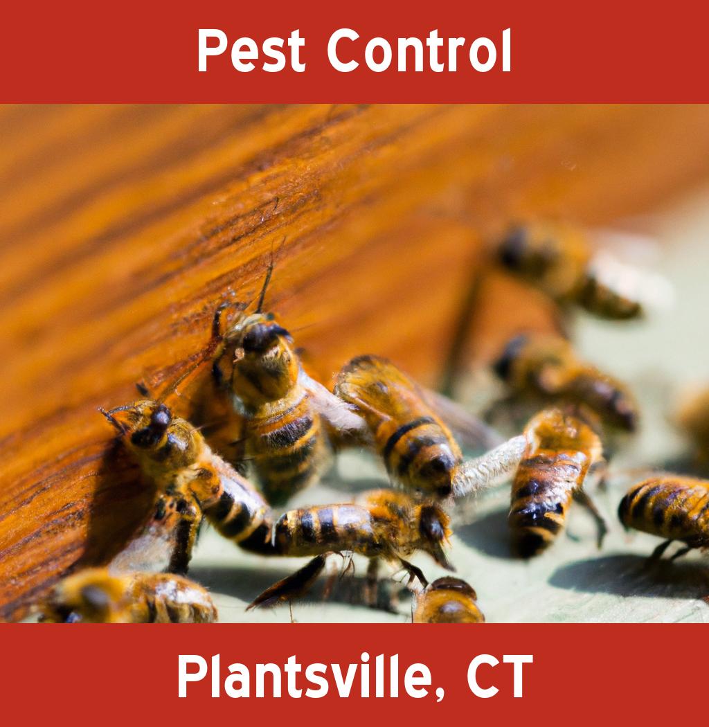 pest control in Plantsville Connecticut