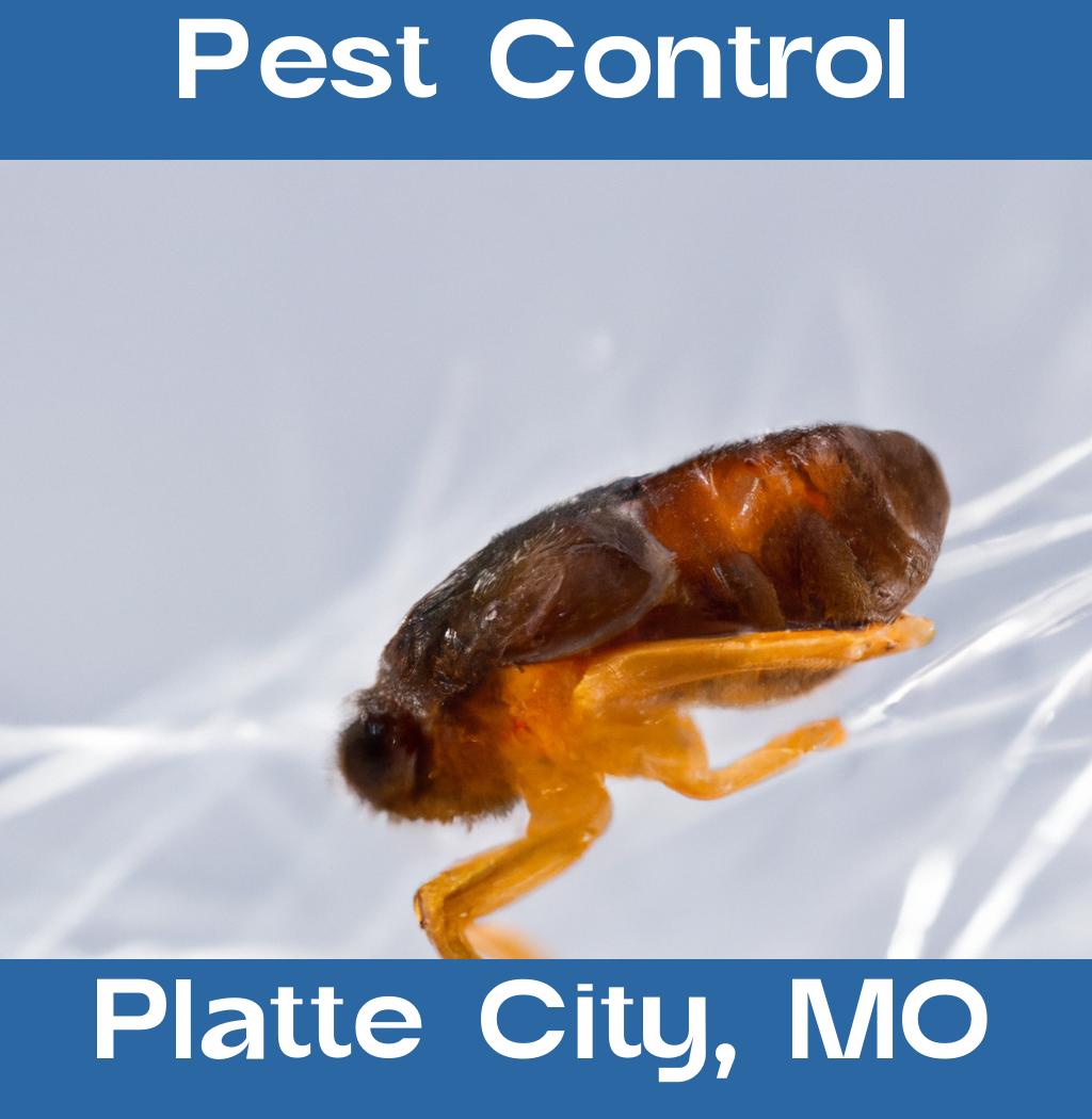 pest control in Platte City Missouri