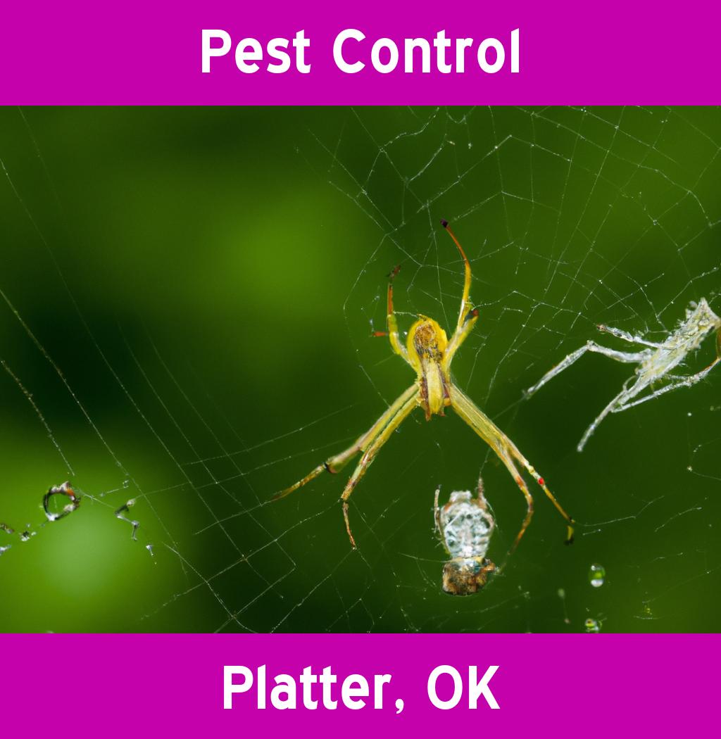 pest control in Platter Oklahoma