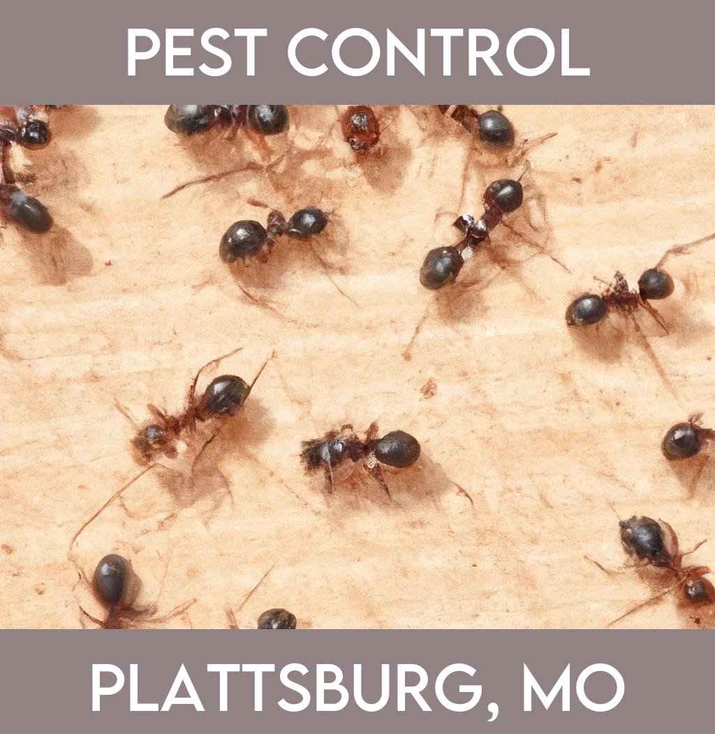 pest control in Plattsburg Missouri