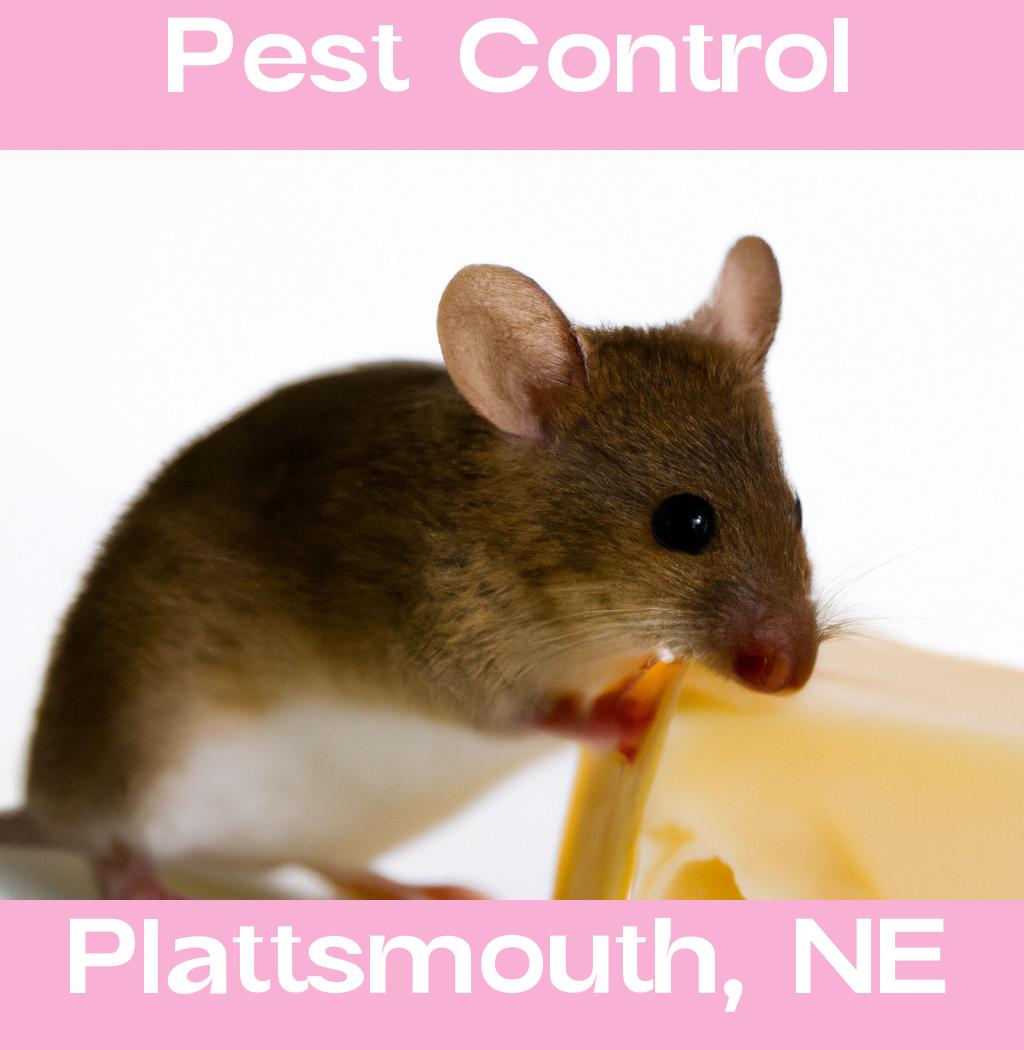 pest control in Plattsmouth Nebraska