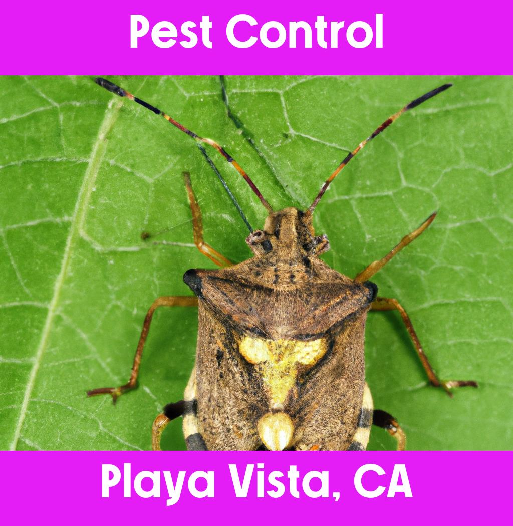 pest control in Playa Vista California