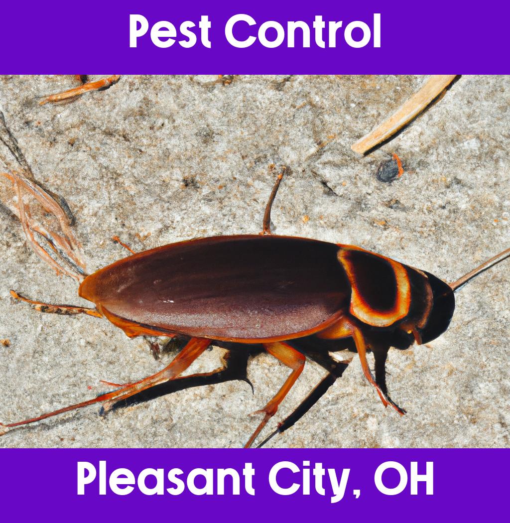 pest control in Pleasant City Ohio