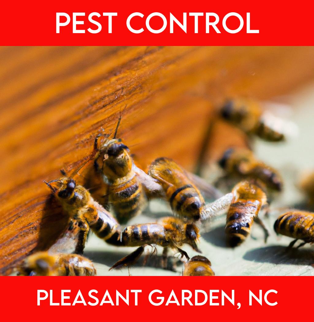 pest control in Pleasant Garden North Carolina