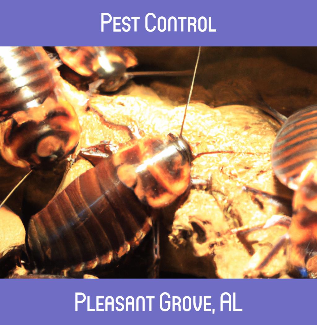 pest control in Pleasant Grove Alabama